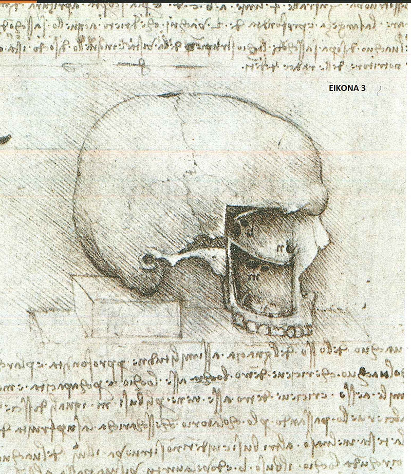 2023 07 image 3